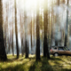 Illustration for article titled 2010 Land Rover LR4 Updated With Jaguar V8